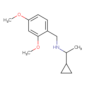 (1-cyclopropylethyl)[(2,4-dimethoxyphenyl)methyl]amine