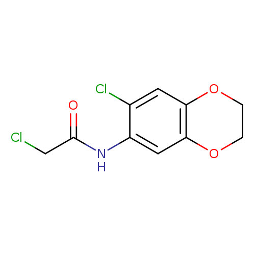 2-chloro-N-(7-chloro-2,3-dihydro-1,4-benzodioxin-6-yl)acetamide