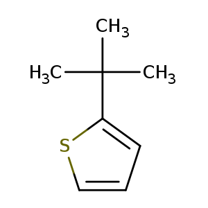 Thiophene, 2-(1,1-dimethylethyl)-