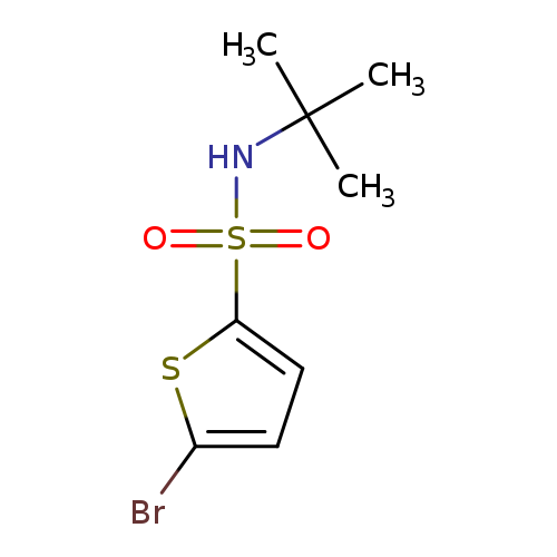 N-tert-Butyl 5-bromo-2-thiophenesulfonamide
