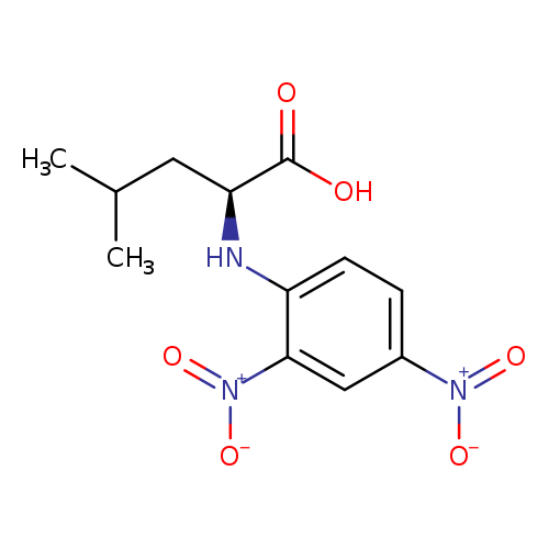 L-Leucine, N-(2,4-dinitrophenyl)-