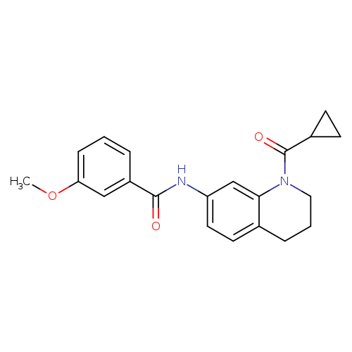N-(1-cyclopropanecarbonyl-1,2,3,4-tetrahydroquinolin-7-yl)-3-methoxybenzamide