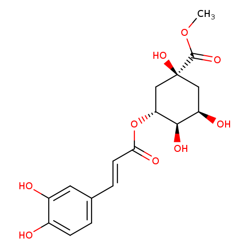 3-O-CAFFEOYLQUINIC ACID METHYL ESTER