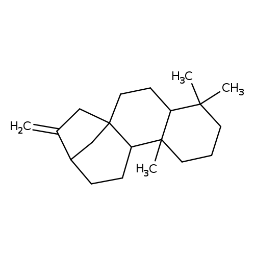 (-)-Phyllocladene