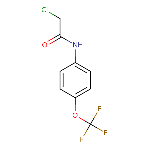 N-(Chloroacetyl)-4-(trifluoromethoxy)aniline