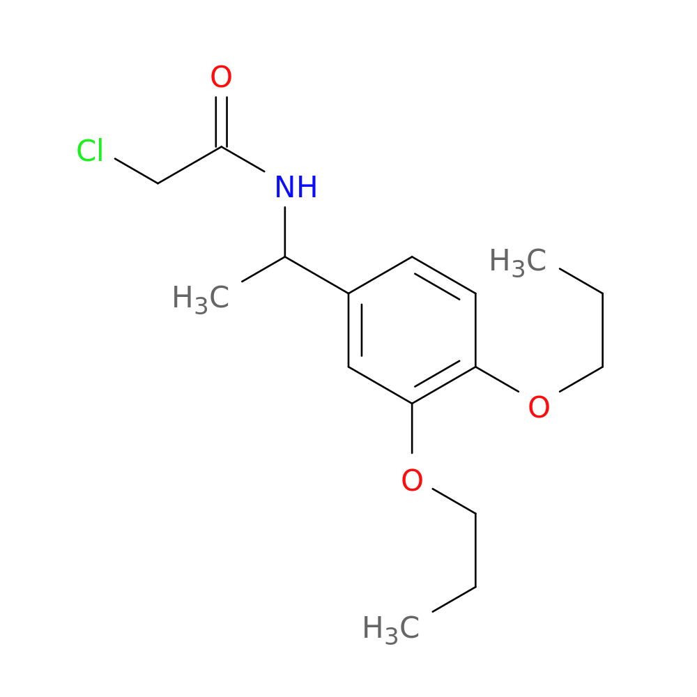 2-chloro-N-[1-(3,4-dipropoxyphenyl)ethyl]acetamide