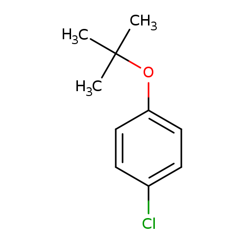 Benzene, 1-chloro-4-(1,1-dimethylethoxy)-