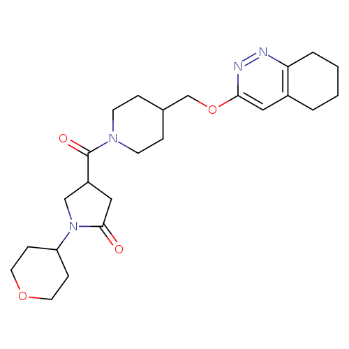 1-(oxan-4-yl)-4-{4-[(5,6,7,8-tetrahydrocinnolin-3-yloxy)methyl]piperidine-1-carbonyl}pyrrolidin-2-one