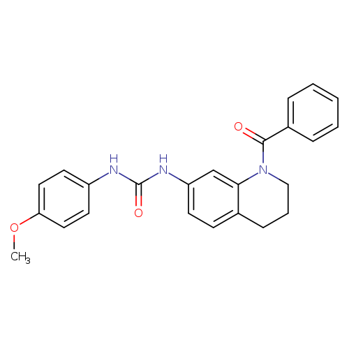 3-(1-benzoyl-1,2,3,4-tetrahydroquinolin-7-yl)-1-(4-methoxyphenyl)urea