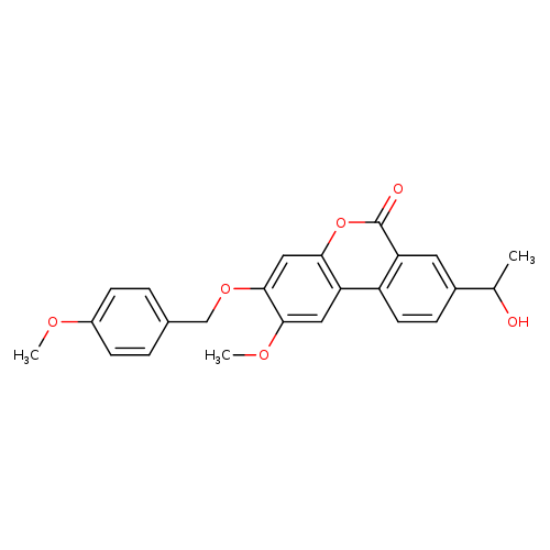 Palomid 529 (P529)