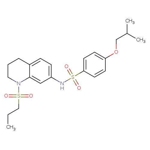 4-(2-methylpropoxy)-N-[1-(propane-1-sulfonyl)-1,2,3,4-tetrahydroquinolin-7-yl]benzene-1-sulfonamide