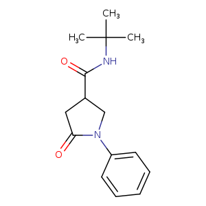 (N-tert-Butyl)-(phenyl-1-pyrrolidone-2-carboxamide-4)