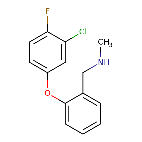 {[2-(3-chloro-4-fluorophenoxy)phenyl]methyl}(methyl)amine