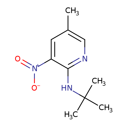 2-t-Butylamino-5-methyl-3-nitropyridine