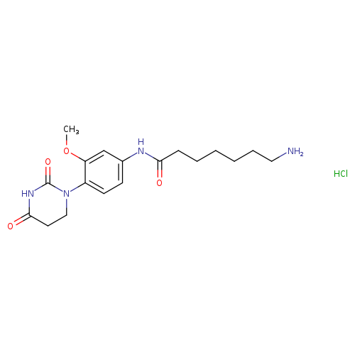 7-amino-N-[4-(2,4-dioxo-1,3-diazinan-1-yl)-3-methoxyphenyl]heptanamidehydrochloride
