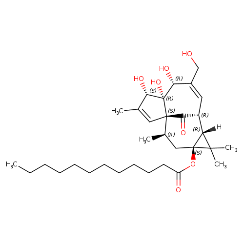 Dodecanoic Acid ingenol ester
