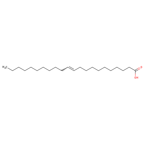 11-Docosenoic acid, (11Z)-
