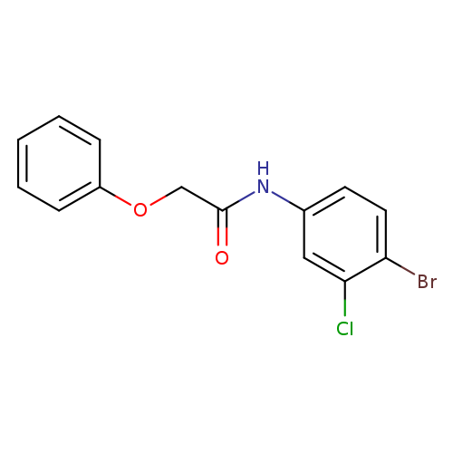 N-(4-bromo-3-chlorophenyl)-2-phenoxyacetamide