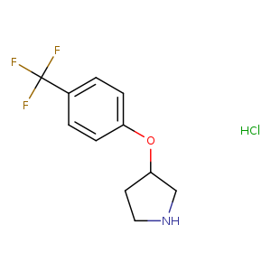 3-(4-(Trifluoromethyl)phenoxy)pyrrolidine hydrochloride