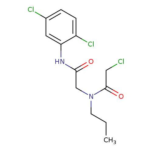 2-chloro-N-{[(2,5-dichlorophenyl)carbamoyl]methyl}-N-propylacetamide