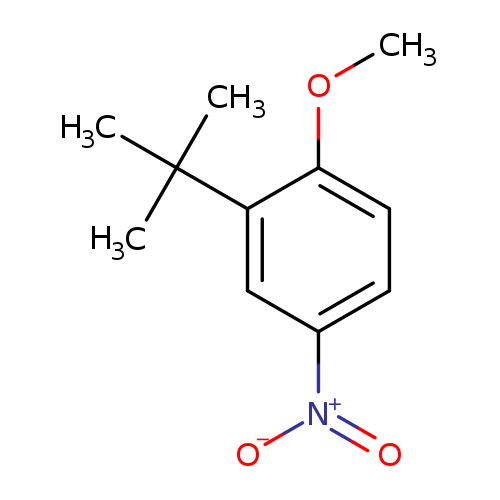 2-tert-Butyl-1-methoxy-4-nitrobenzene