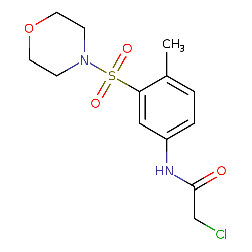 2-chloro-N-[4-methyl-3-(morpholine-4-sulfonyl)phenyl]acetamide