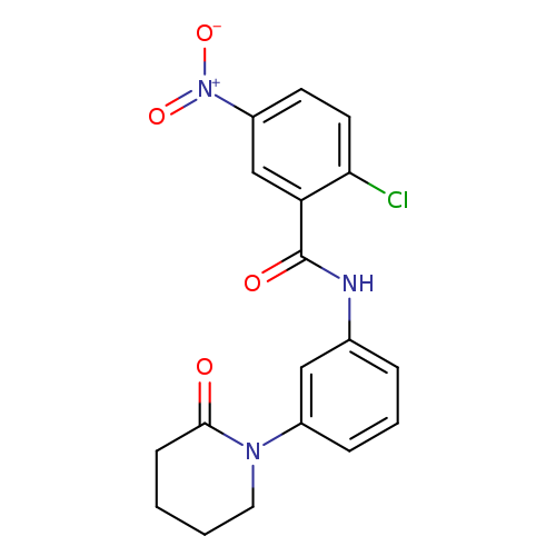 2-chloro-5-nitro-N-[3-(2-oxopiperidin-1-yl)phenyl]benzamide
