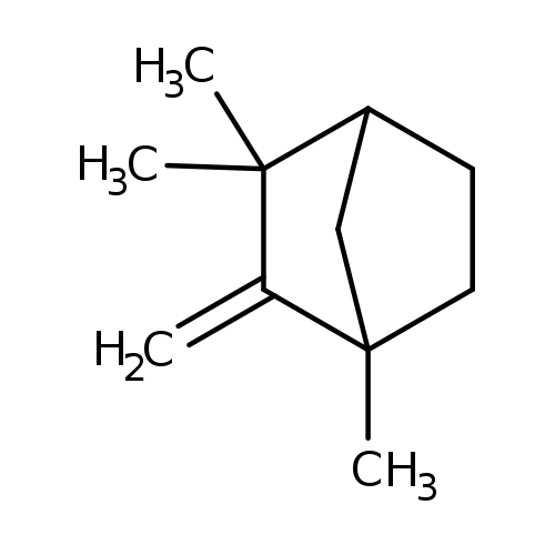 1,3,3-trimethyl-2-methylidenebicyclo[2.2.1]heptane