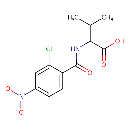 2-[(2-chloro-4-nitrophenyl)formamido]-3-methylbutanoic acid