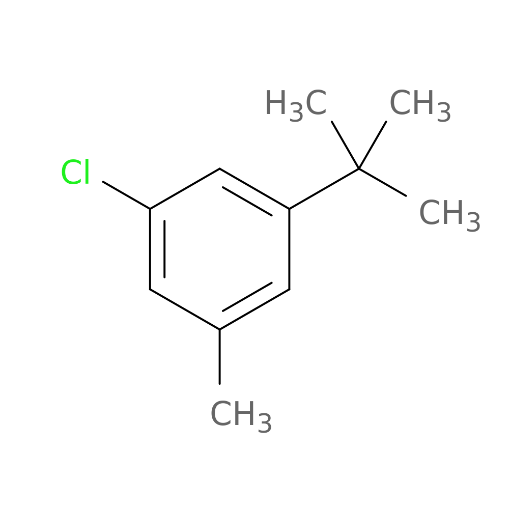 3-t-Butyl-5-chlorotoluene