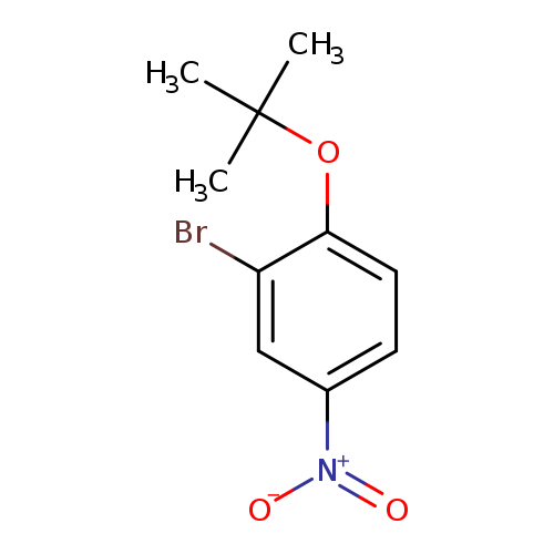 2-bromo-1-(tert-butoxy)-4-nitrobenzene