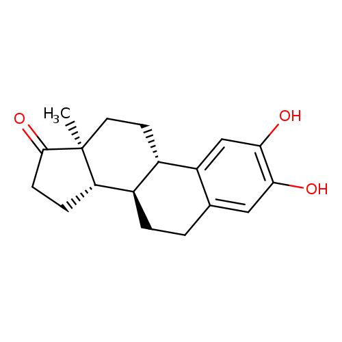2-Hydroxyestrone
