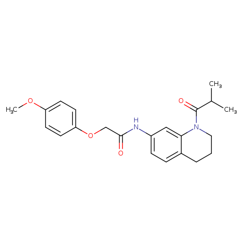 2-(4-methoxyphenoxy)-N-[1-(2-methylpropanoyl)-1,2,3,4-tetrahydroquinolin-7-yl]acetamide