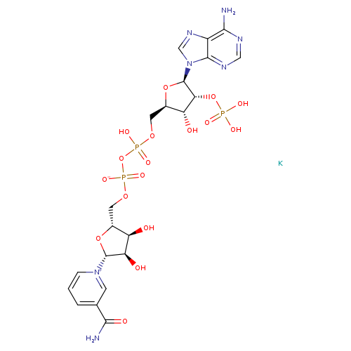 NADP monopotassium salt, ca