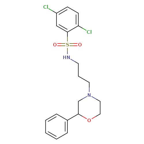 2,5-dichloro-N-[3-(2-phenylmorpholin-4-yl)propyl]benzene-1-sulfonamide