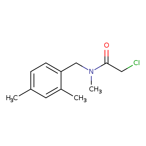 2-chloro-N-[(2,4-dimethylphenyl)methyl]-N-methylacetamide