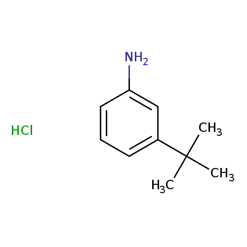 3-tert-Butylaniline hcl
