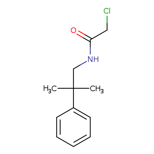 2-chloro-N-(2-methyl-2-phenylpropyl)acetamide