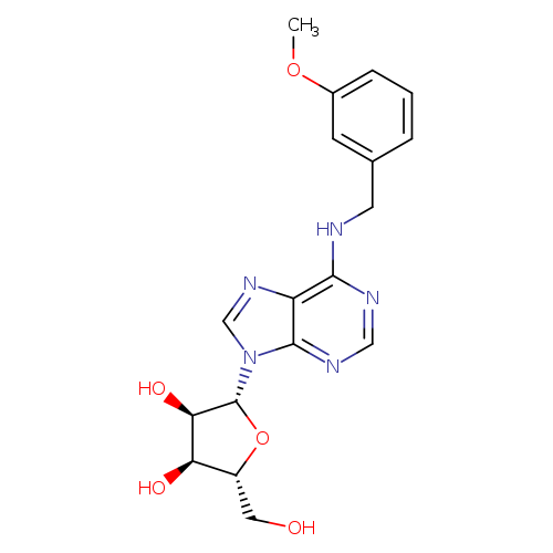 N6-(m-Methoxybenzyl)adenosine