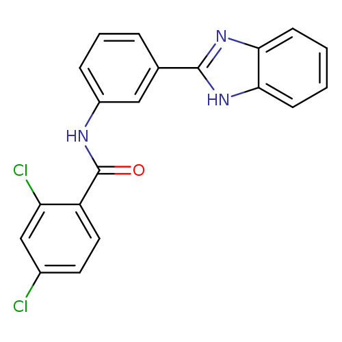 N-[3-(1H-1,3-benzodiazol-2-yl)phenyl]-2,4-dichlorobenzamide