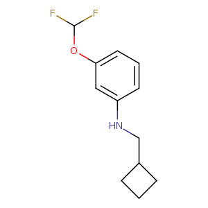 N-(cyclobutylmethyl)-3-(difluoromethoxy)aniline
