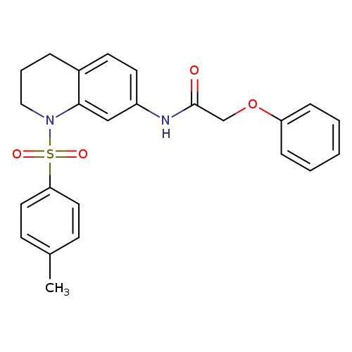 N-[1-(4-methylbenzenesulfonyl)-1,2,3,4-tetrahydroquinolin-7-yl]-2-phenoxyacetamide