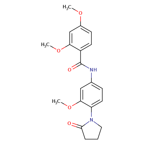 2,4-dimethoxy-N-[3-methoxy-4-(2-oxopyrrolidin-1-yl)phenyl]benzamide