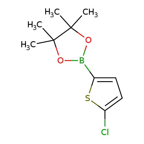 5-Chlorothiophene-2-Boronic Acid Pinacol Ester