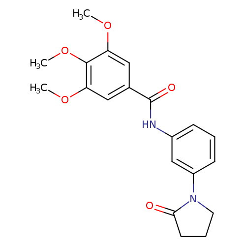 3,4,5-trimethoxy-N-[3-(2-oxopyrrolidin-1-yl)phenyl]benzamide
