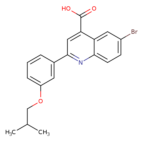 6-Bromo-2-(3-isobutoxyphenyl)quinoline-4-carboxylic acid