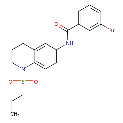 3-bromo-N-[1-(propane-1-sulfonyl)-1,2,3,4-tetrahydroquinolin-6-yl]benzamide