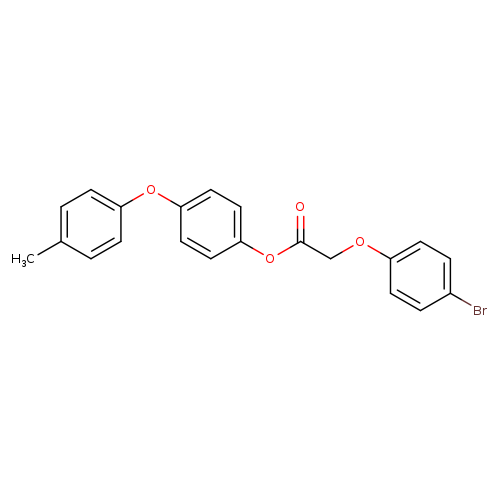 4-(4-methylphenoxy)phenyl 2-(4-bromophenoxy)acetate