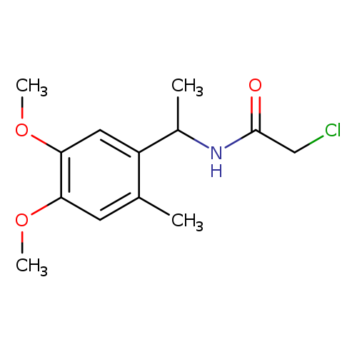 2-chloro-N-[1-(4,5-dimethoxy-2-methylphenyl)ethyl]acetamide
