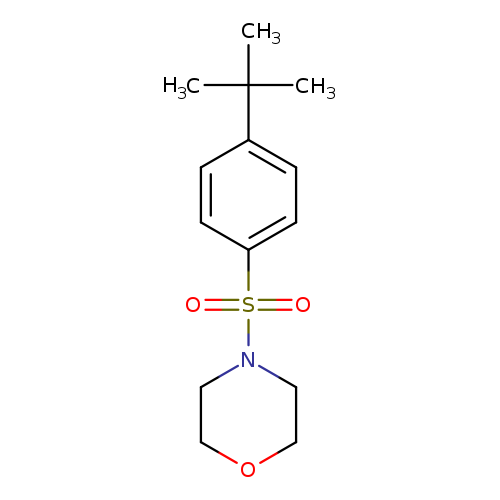 4-(4-tert-butylbenzenesulfonyl)morpholine